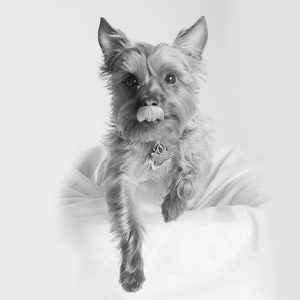 Fundraising Page: Sammy Krutsch